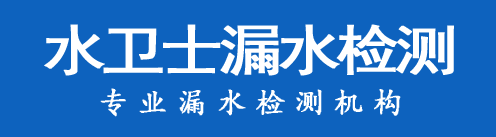 碾子山区暗管漏水检测