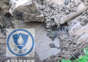 碾子山区水管漏水检测公司5